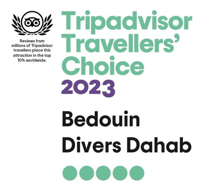 Bedouin Divers Logo